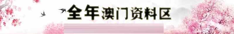 新澳门下半场资料